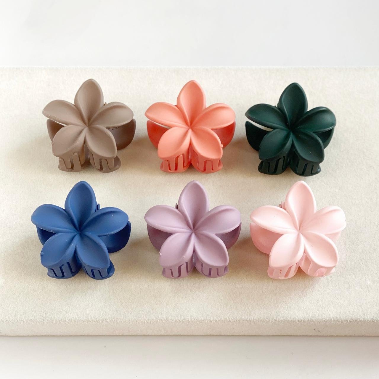 Lotus Minis